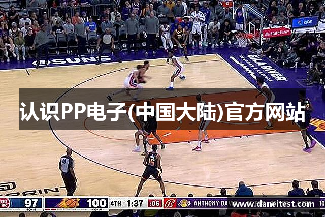 认识PP电子(中国大陆)官方网站